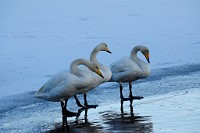 118_DSC9546
