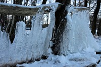 121_DSC9568
