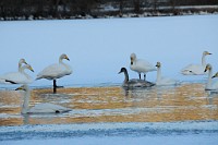 123_DSC9578