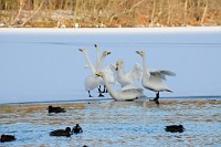 128_DSC9595
