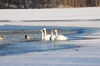 135_DSC9611