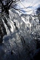 139_DSC9624