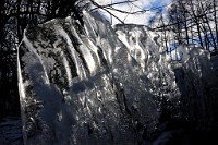 142_DSC9630
