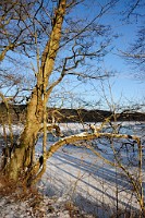 144_DSC9636