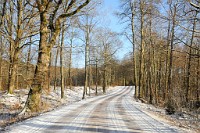 145_DSC9640