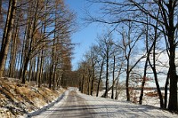 146_DSC9642