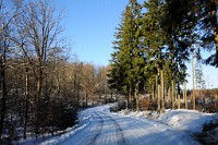 147_DSC9646
