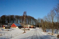 148_DSC9649