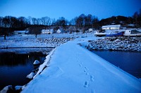 14_DSC9301