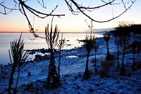 22_DSC9317