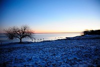 23_DSC9320
