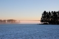 31_DSC9343