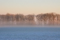 33_DSC9345