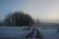 40_DSC9357