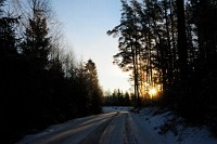 45_DSC9370