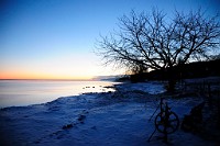 5_DSC9287