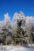 88_DSC9459