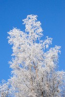 91_DSC9464