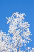 92_DSC9467