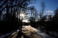 98_DSC9478