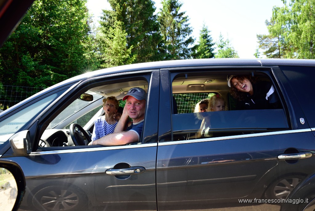 194DSC_8320.JPG
