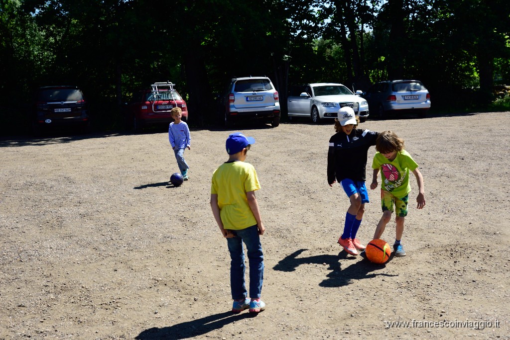 204DSC_8344.JPG