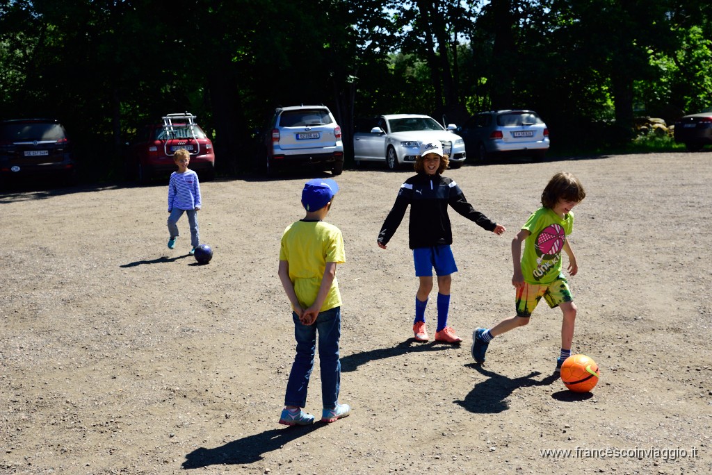 205DSC_8345.JPG