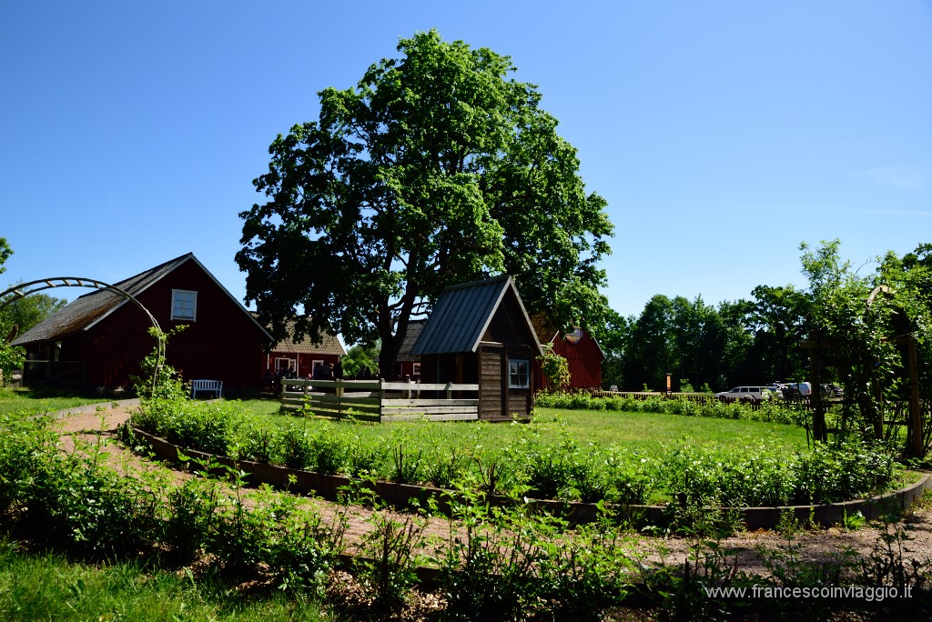 20DSC_8029.JPG