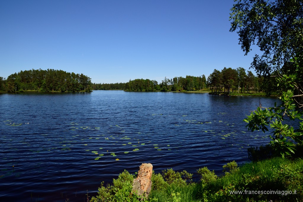 220DSC_8365.JPG