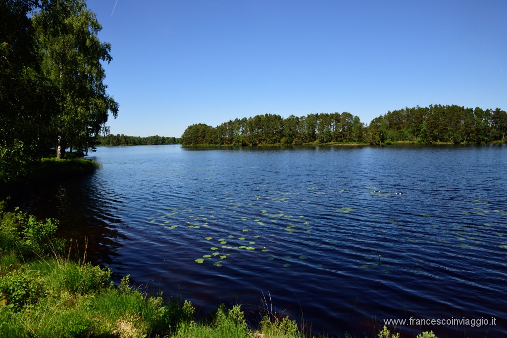 221DSC_8366.JPG