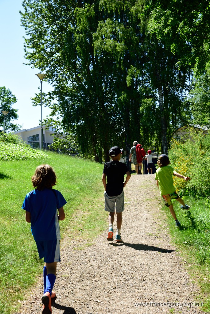 225DSC_8374.JPG