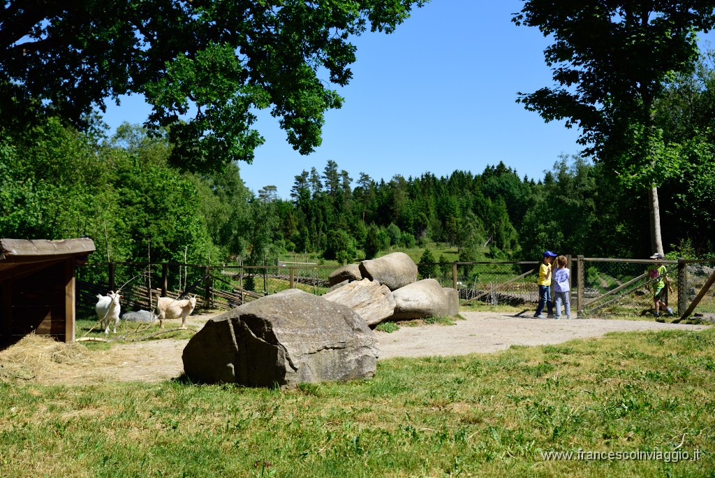 28DSC_8039.JPG