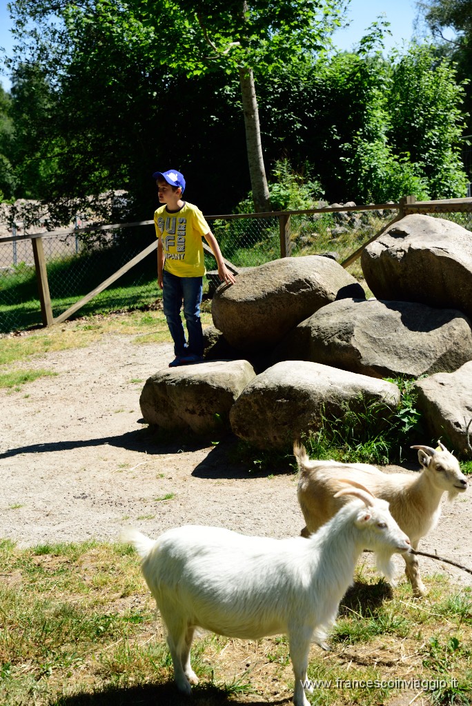 29DSC_8042.JPG