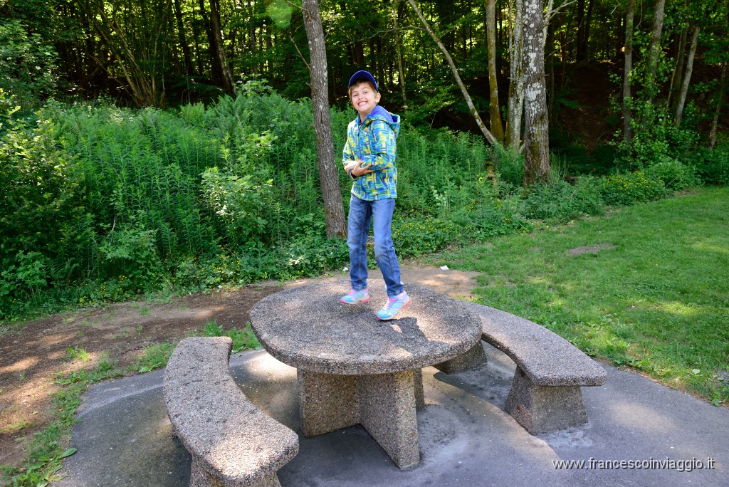 2DSC_8003.JPG