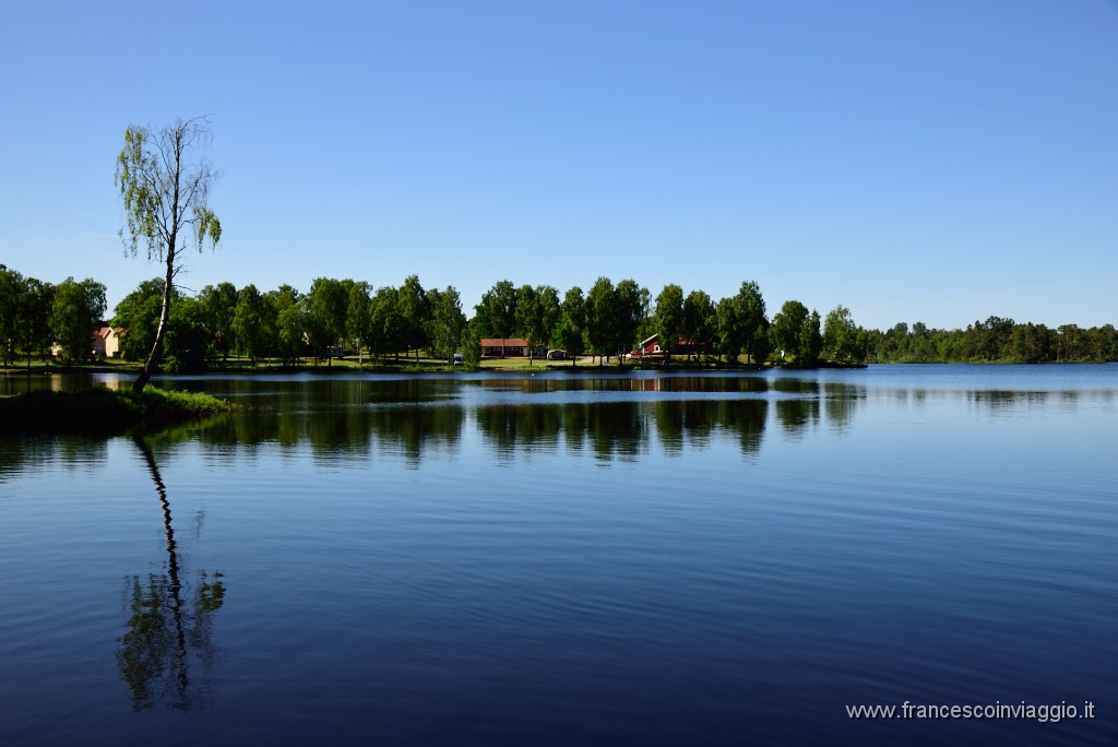 310DSC_8488.JPG