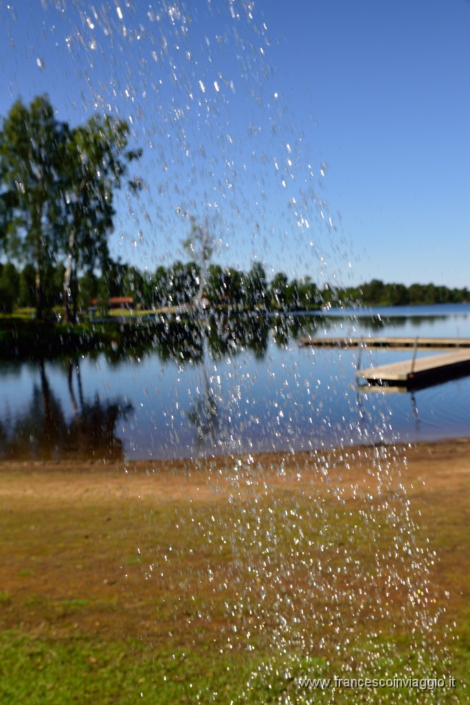 312DSC_8491.JPG