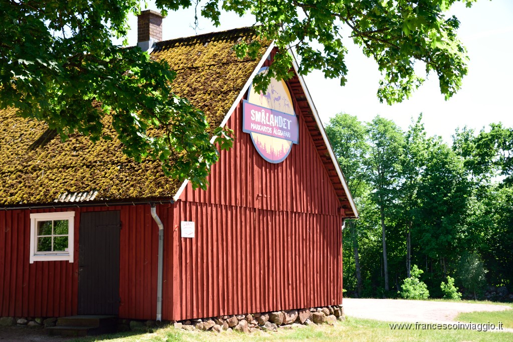 47DSC_8062.JPG