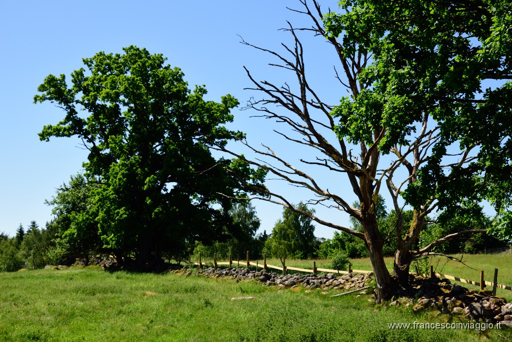 64DSC_8084.JPG