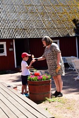 210DSC_8351