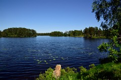 220DSC_8365