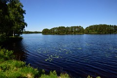 221DSC_8366