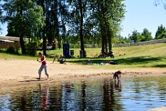 241DSC_8395