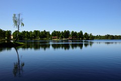 310DSC_8488