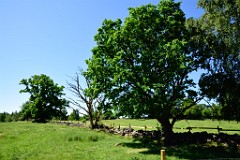 63DSC_8083