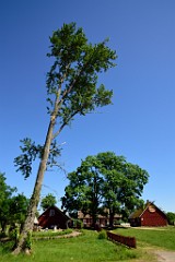 65DSC_8085