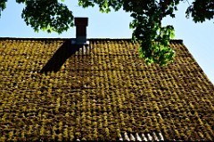 70DSC_8092