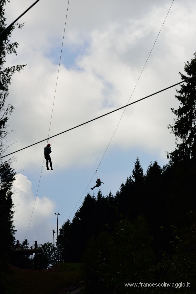 11DSC_4799.JPG