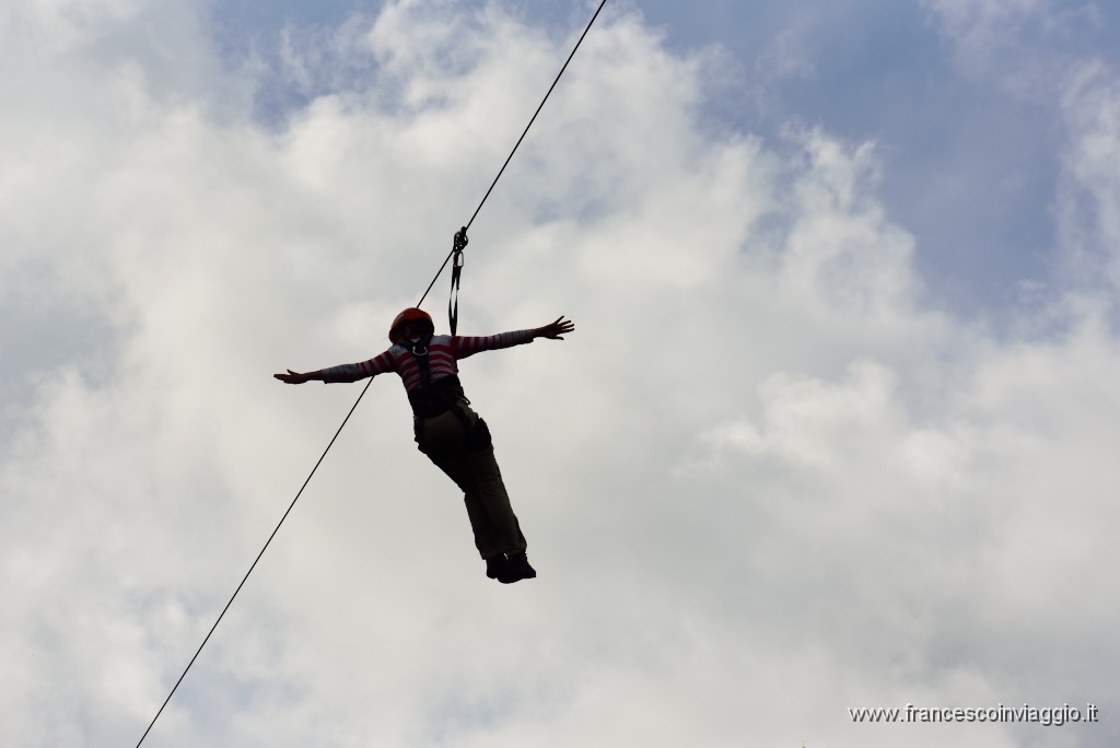47DSC_4872.JPG