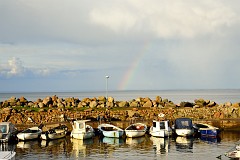 108DSC_4975