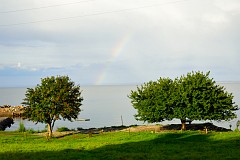 95DSC_4957